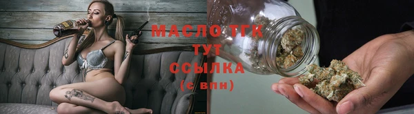 сатива Заводоуковск