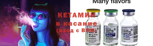 сатива Заводоуковск