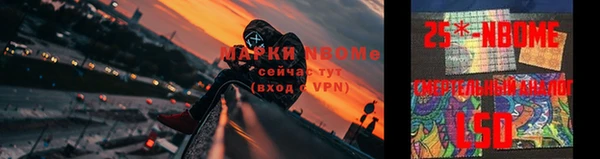 сатива Заводоуковск