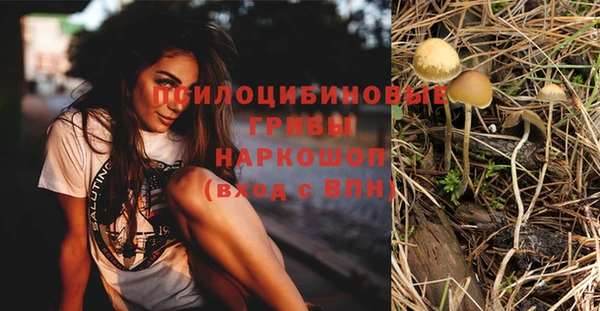 сатива Заводоуковск