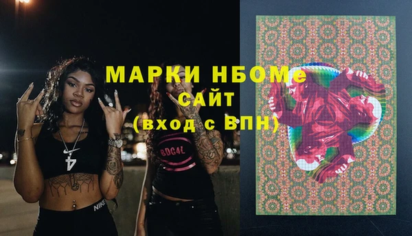 сатива Заводоуковск