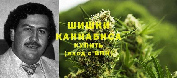 сатива Заводоуковск