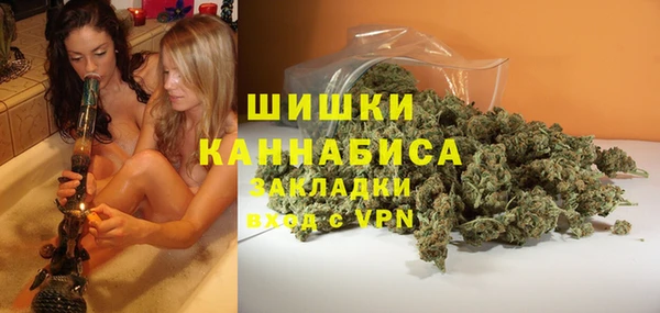 сатива Заводоуковск
